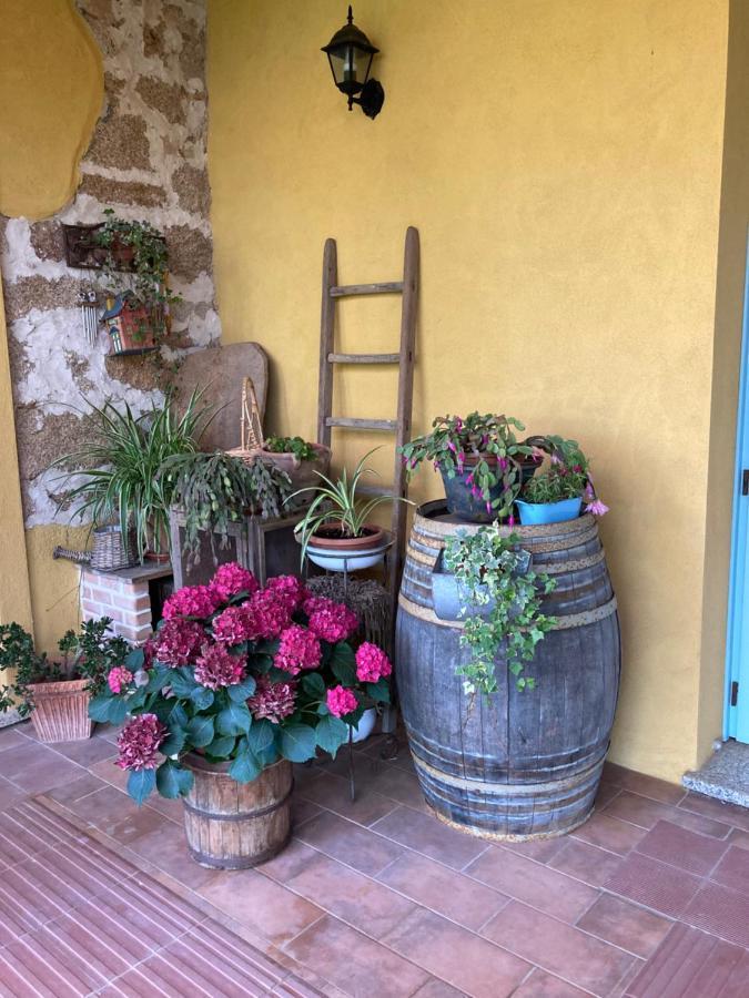 Agriturismo Is Conchisceddas Gonnosfanàdiga Zewnętrze zdjęcie