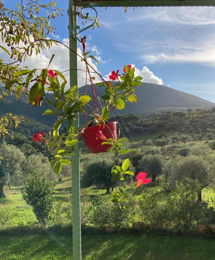 Agriturismo Is Conchisceddas Gonnosfanàdiga Zewnętrze zdjęcie