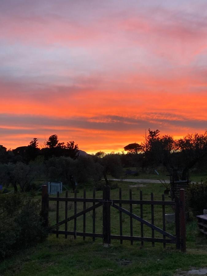 Agriturismo Is Conchisceddas Gonnosfanàdiga Zewnętrze zdjęcie