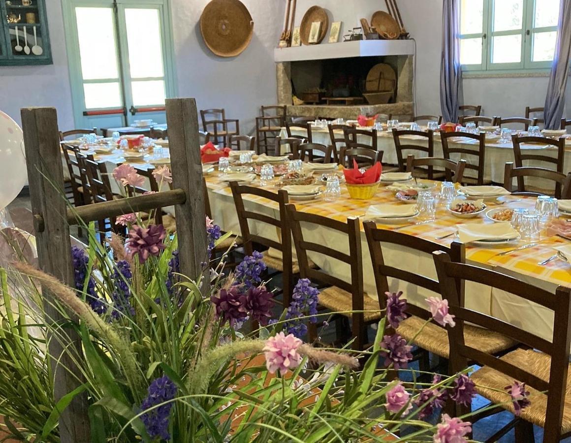 Agriturismo Is Conchisceddas Gonnosfanàdiga Zewnętrze zdjęcie