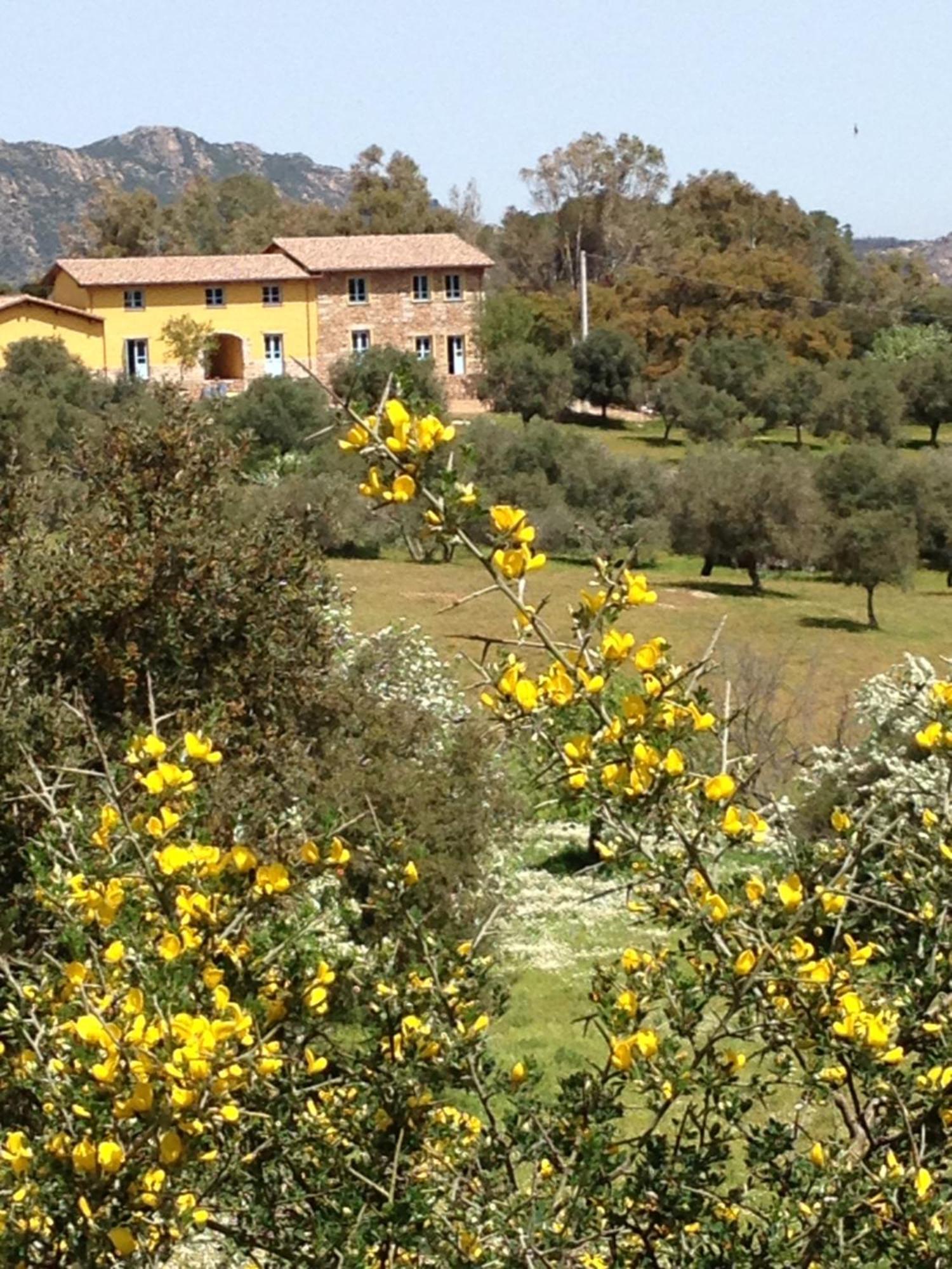 Agriturismo Is Conchisceddas Gonnosfanàdiga Zewnętrze zdjęcie