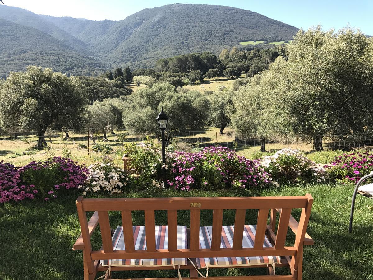 Agriturismo Is Conchisceddas Gonnosfanàdiga Zewnętrze zdjęcie