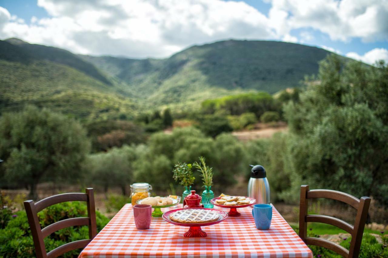 Agriturismo Is Conchisceddas Gonnosfanàdiga Zewnętrze zdjęcie