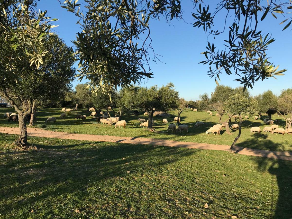 Agriturismo Is Conchisceddas Gonnosfanàdiga Zewnętrze zdjęcie